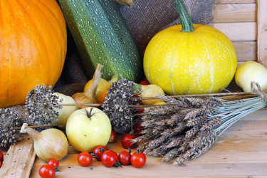 Similar image 20049291