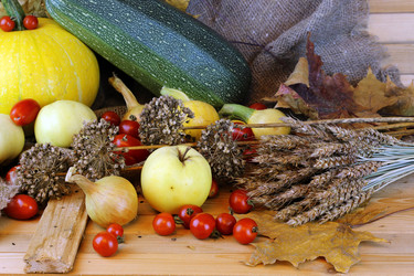 Similar image 20049292