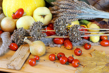 Similar image 20049294