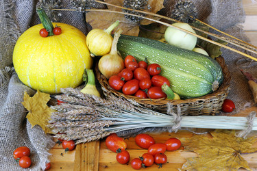 Similar image 20049295