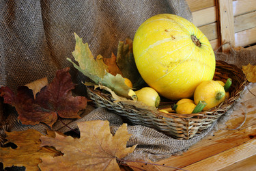 Similar image 20049296