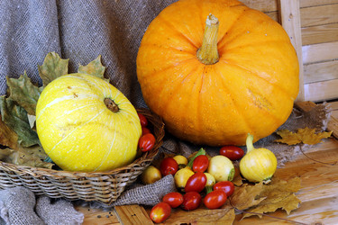 Similar image 20049302