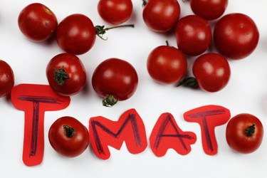 Similar image 20049304