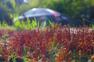 Similar image 20049327