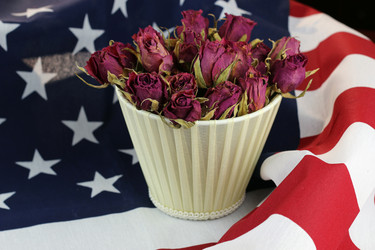 Similar image 20049345