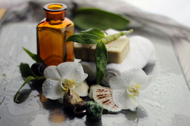 Similar image 20049356