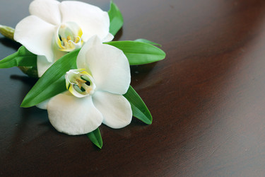 Similar image 20049367