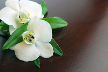 Similar image 20049368