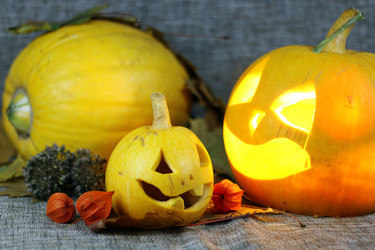 Similar image 20049405