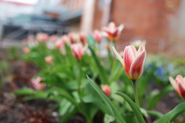 Similar image 20049407