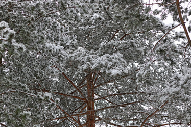 Similar image 20049408