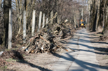 Similar image 20049416