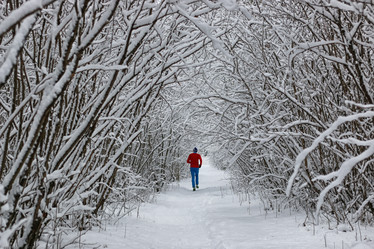 Similar image 20049432