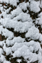 Similar image 20049436