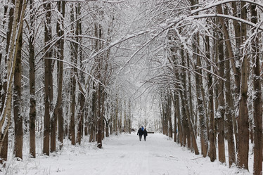 Similar image 20049438