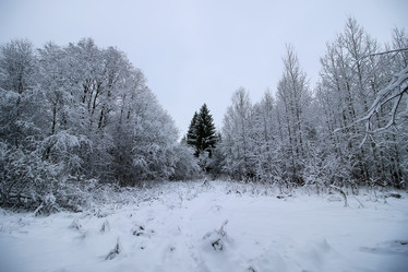 Similar image 20049441