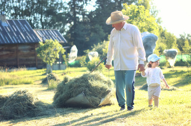 Similar image 20049447