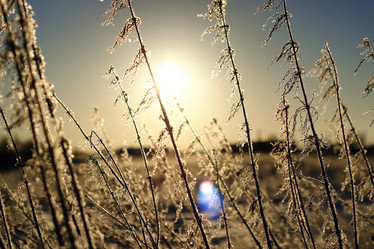 Similar image 20049449