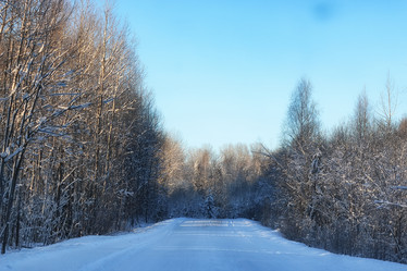 Similar image 20049461