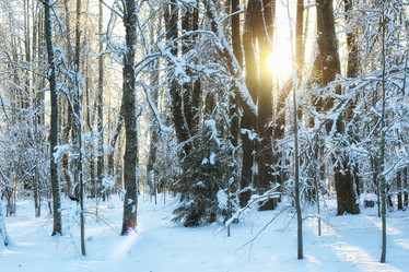 Similar image 20049466