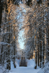 Similar image 20049476