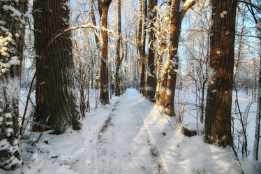 Similar image 20049484