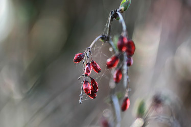 Similar image 20049488