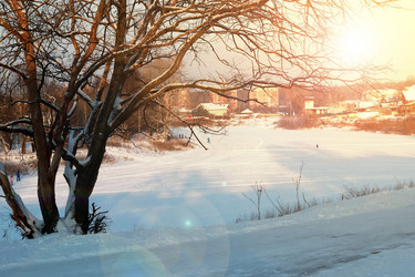 Similar image 20049495