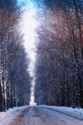 Similar image 20049497