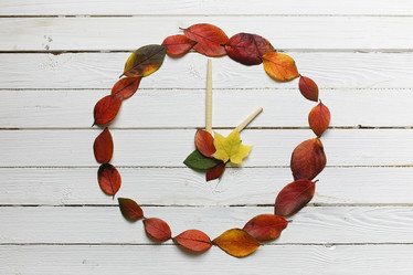 Similar image 20049498