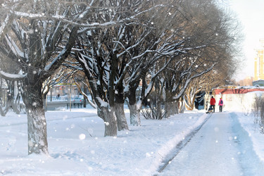 Similar image 20049502