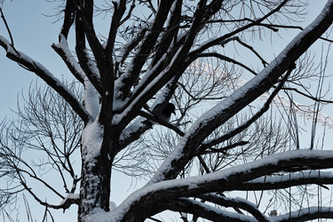 Similar image 20049503