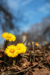 Similar image 20049553