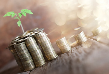 Similar image 20049558