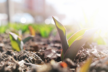 Similar image 20049564