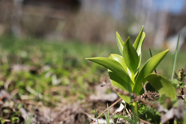 Similar image 20049569