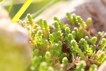 Similar image 20049571