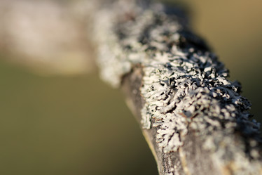 Similar image 20049572