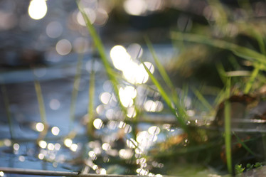 Similar image 20049573