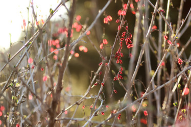 Similar image 20049575