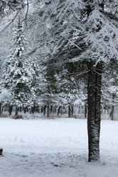 Similar image 20049583