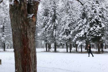 Similar image 20049584