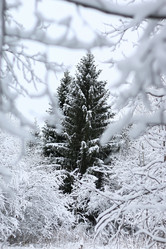 Similar image 20049604