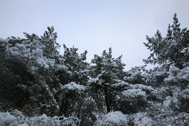 Similar image 20049606