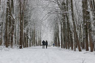 Similar image 20049614