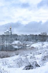 Similar image 20049629