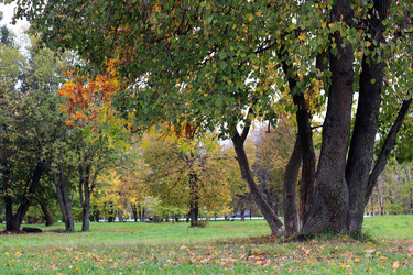 Similar image 20049632