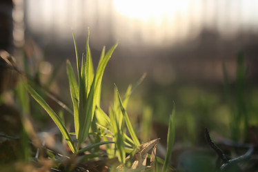 Similar image 20049640