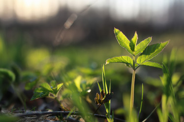 Similar image 20049642