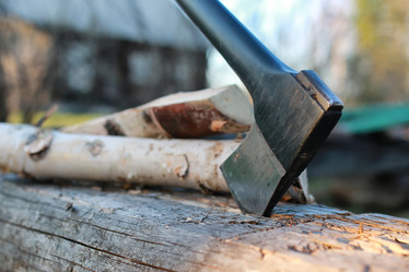 Similar image 20049643